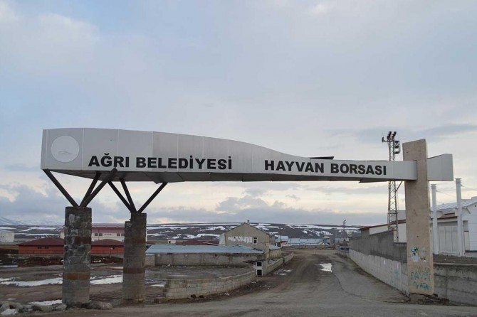 Covid-19 tedbirleri kapsamında kapatılan Ağrı Hayvan Borsası yeniden açılıyor