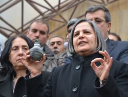 BDP'nin Viranşehir etkinliğinde olaylar çıktı