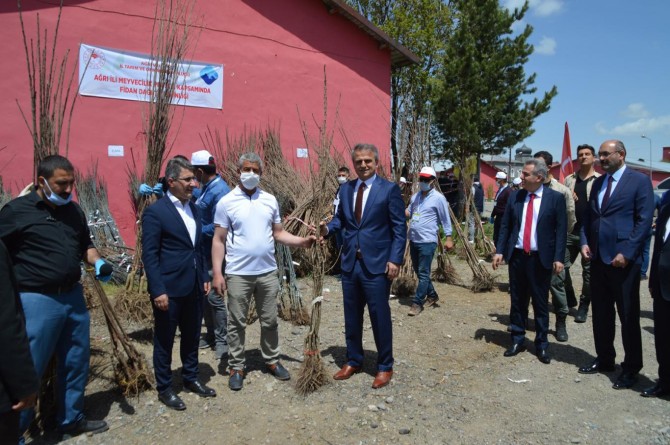 Ağrı'da 60 bin meyve ağacı ücretsiz dağıtıldı