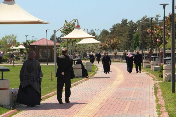 Yaşlı çınarlar park ve mezarlıklara akın etti