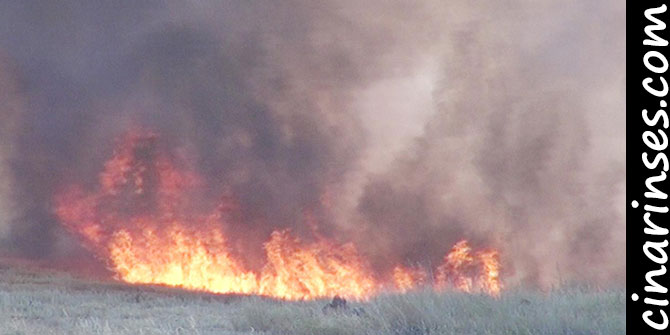 Mardin'in Hüyüklü (Girmasek) Mahallesi'nde 30 dönümlük buğday tarlası yandı