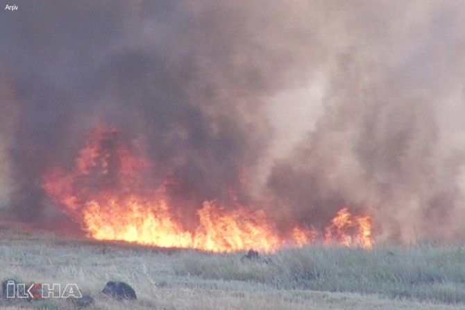 Li Mêrdînê 30 donim genim şewitî