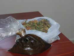 Bitkisel ilaçlar hastalara umut oluyor video