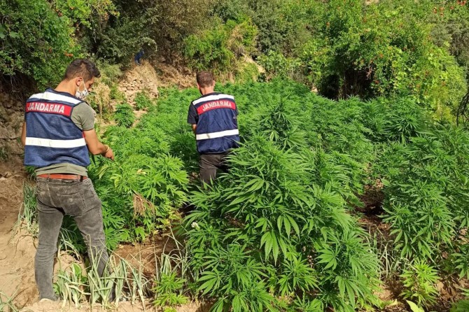 Mardin’de uyuşturucu operasyonunda 2 kişi yakalandı