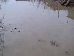 Bismil'in Tepe beldesinde sel