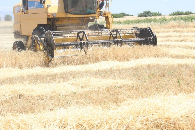 Adıyaman'da arpa hasadı başladı, belirlenen fiyat beklentiyi karşılamadı