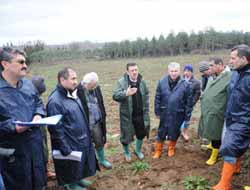 Kestane Eylem Planı Çalıştayı arazi incelemeleri ile sona erdi
