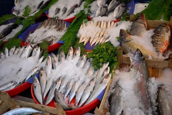 Su ürünleri üretimi 2019 yılında yüzde 33,1 arttı