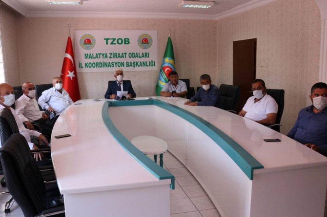 Malatya kayısısında bu yıl düşük rekolte bekleniyor