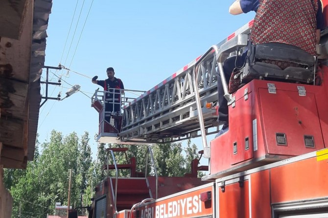 Telde mahsur kalan kargayı Ağrı itfaiye ekibi kurtardı