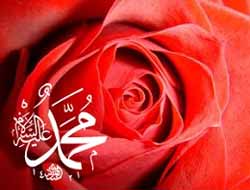 Özlem Ajans'tan Efendimiz'in kutlu doğumu anısına özel albüm video