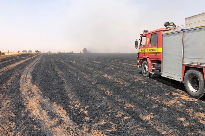 Kızıltepe, Derik ve Mazıdağı'nda 600 dönüm buğday tarlası kül oldu