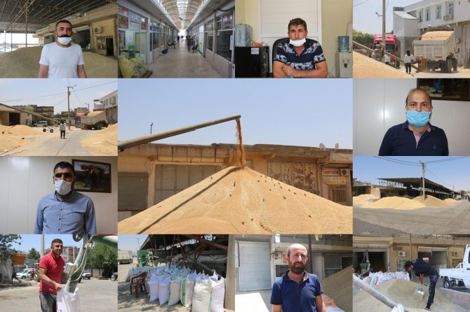 Şanlıurfa’da buğday pazarı ve zahireciler borsası esnafı bu yılki mahsulden memnun