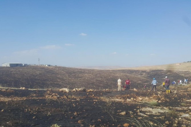 Batman'da 300 dönüm fıstık tarlası yandı