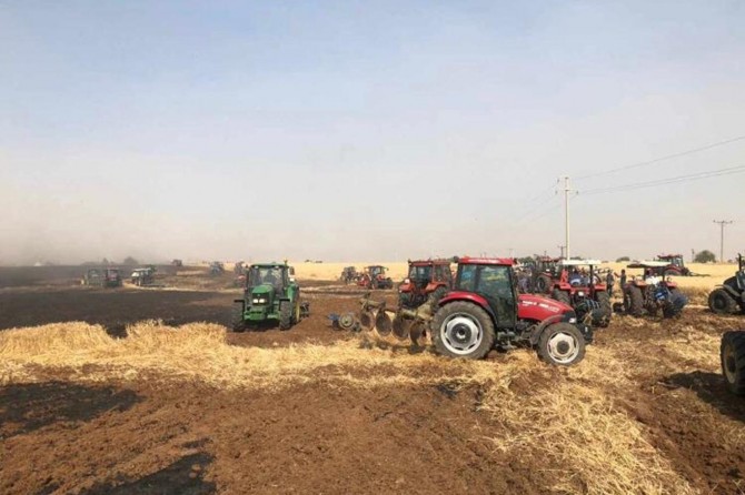 300 donim genim şewitî