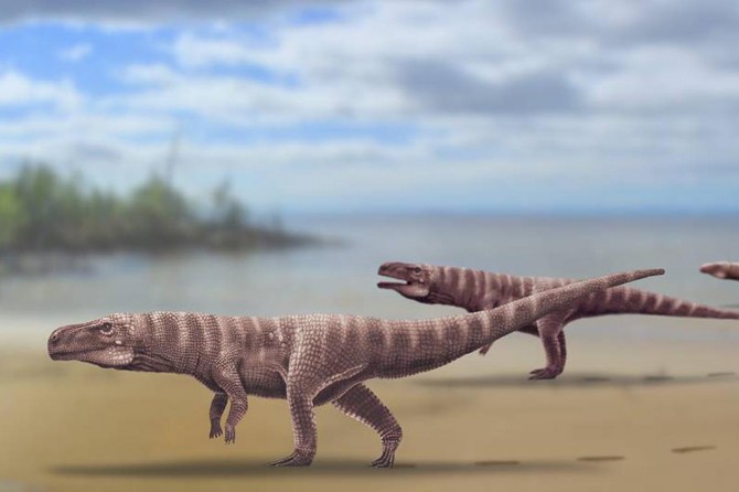 Güney Kore'de arka ayakları üzerinde yürüyen timsahlara ait fosil bulundu