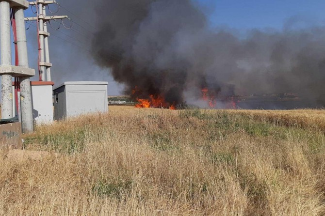 Şanlıurfa'da 10 dönüm buğday ekili tarla yandı