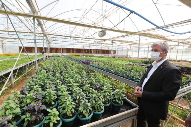 Daha yeşil bir Gaziantep’in oluşturulması hedefleniyor