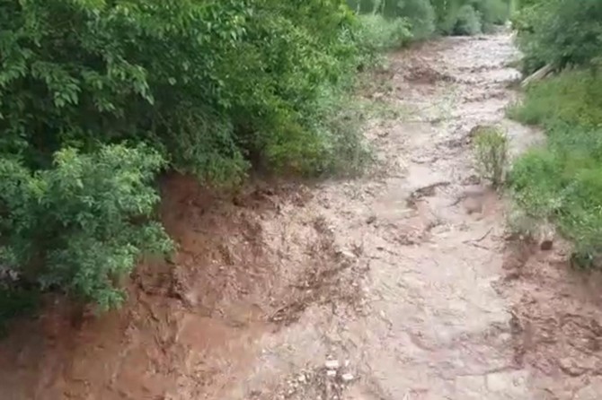 Bingöl’de dere taştı, araziler zarar gördü