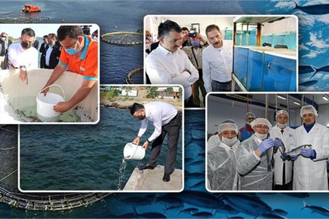 Bakan Pakdemirli: "Su ürünleri sektörümüz yara almadan pandemiyi geçti"