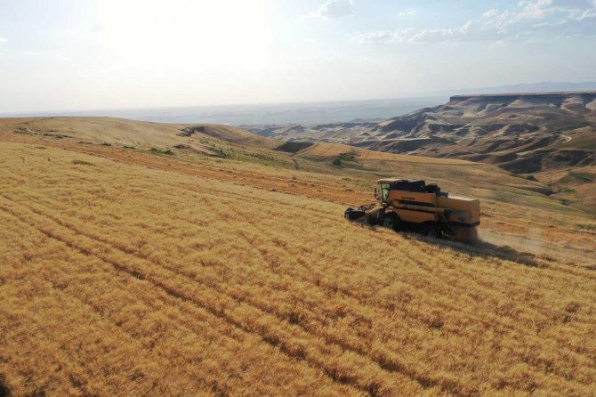 Batman Ziraat Odası, “Çiftçi bu seneki verimden ve fiyattan memnun”
