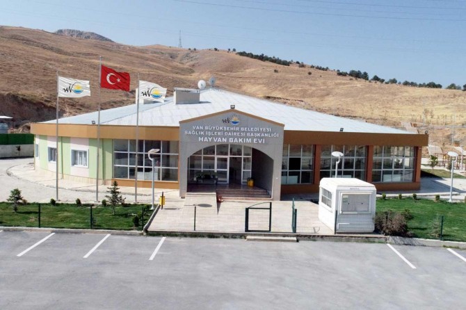 Van'da bir yılda 7 bin 533 hayvan tedavi edildi