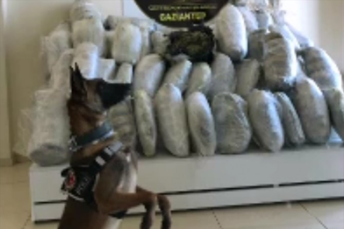 Gaziantep’te 154 kilo esrar ele geçirildi