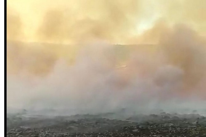 Li Diyarbekirê nêzî 30 hezar donim erdê çandinîyê û çêrgehşewitî