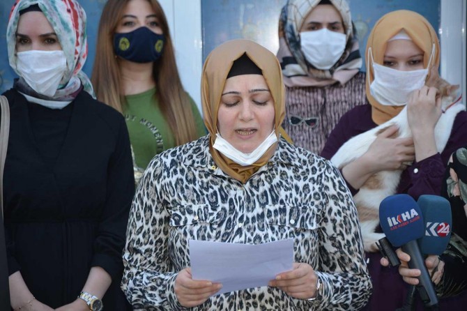 Diyarbakır'da AK Partili kadınlardan sokak hayvanlarına destek çağrısı