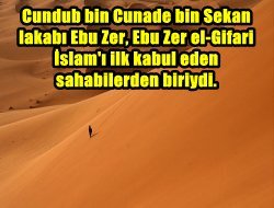 Ebu Zerr varken, Che Guevara lafı edilmez!