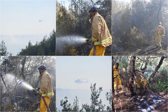 Adana Sarıçam'da ormanlık alanda yangın
