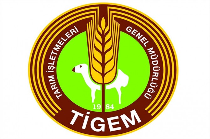 Ceylanpınar TİGEM'de çalışan bazı işçilerde Covit-19 tespit edildi