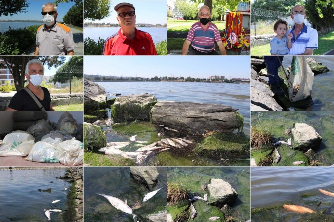 İstanbul Küçükçekmeceliler: “Balık ölümleri fabrikaların atık sularından kaynaklanıyor”