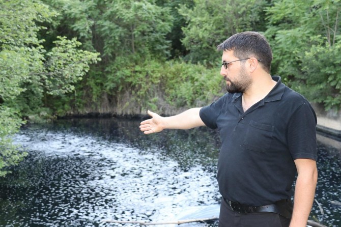 Malatya’da dereden zehir akıyor