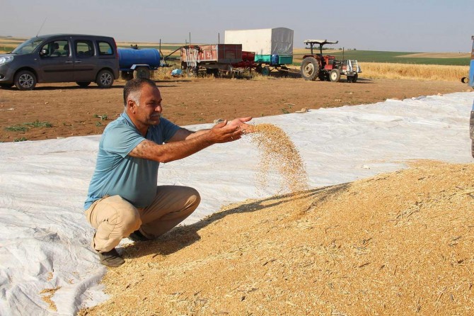 Çiftçiler: Kazancımızın büyük kısmı elektrik faturalarına gidiyor