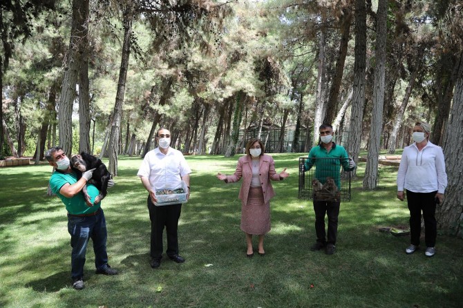 Gaziantep Hayvanat Bahçesi yeni üyelerine kavuştu