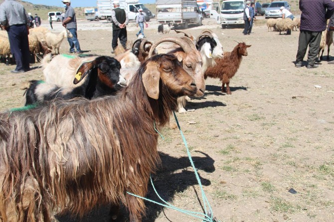 Van Valiliği Kurban Bayramı tedbirlerini açıkladı