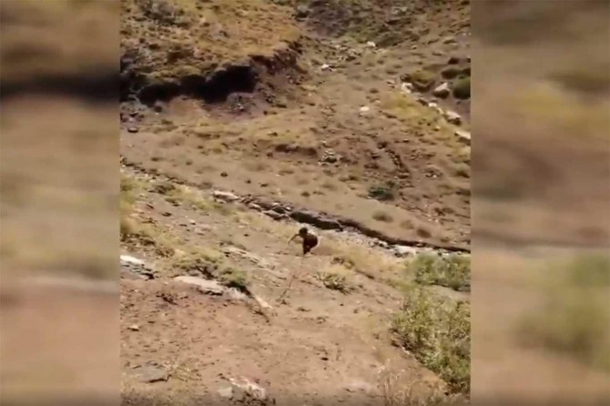 Şemdinli'de 1 PKK'li teslim oldu