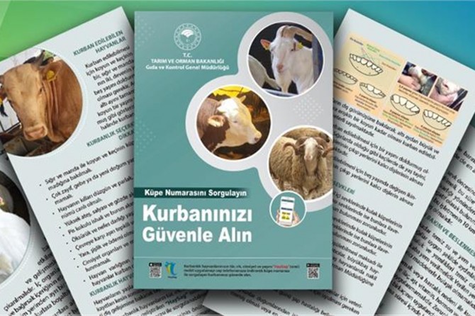 Tarım ve Orman Bakanlığından "kurban rehberi"