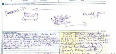 Arabayla çarptığı köpeğe kaza tutanağı tutturdu!