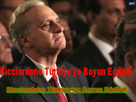 Ricciardone Emretti, Türkiye "TAMAM" Dedi