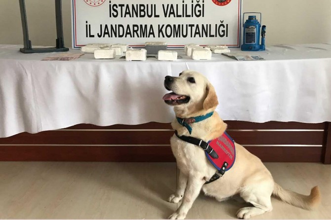 İstanbul’da uyuşturucu operasyonu: 4 kişi tutuklandı