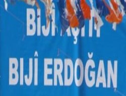 'MHP Xizmeta Fikra Şêytîn Dike'