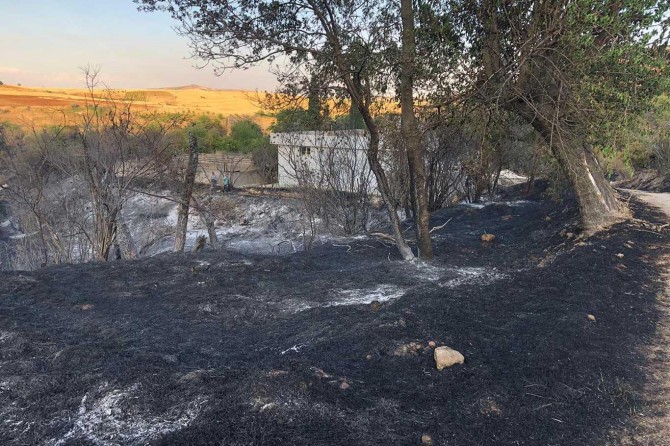 Meyve bahçesinde çıkan yangında yüzlerce ağaç kül oldu