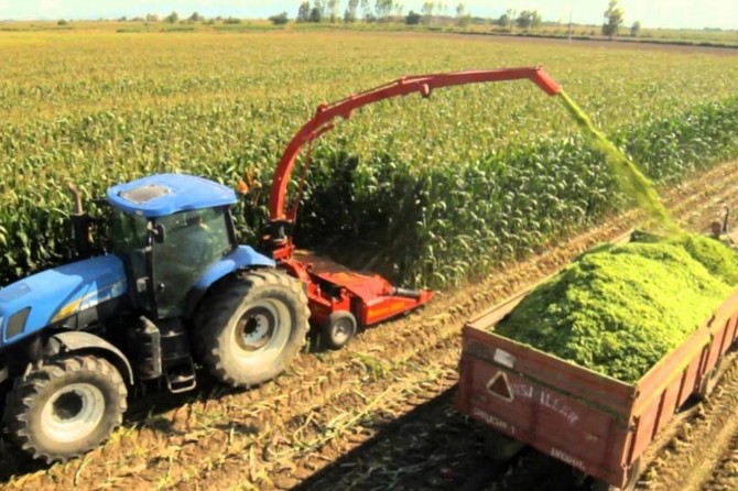 Producer price index of agricultural products rises by 14.50% annually in Turkey