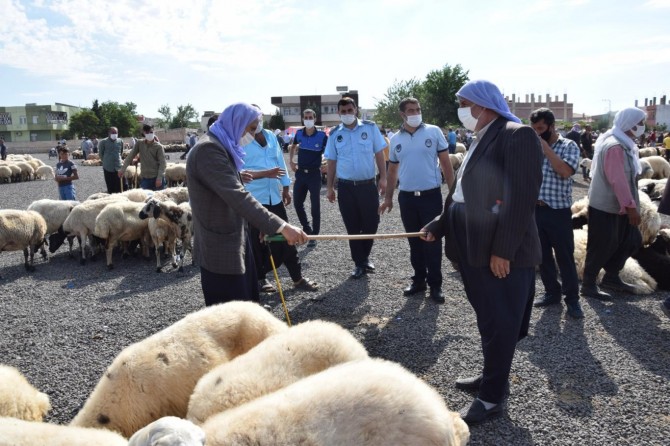 Viranşehir'de zabıta ekipleri, halk sağlığı konusunda hassas davranıyor