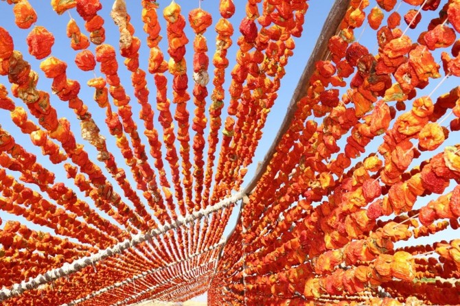 Gaziantep'te kurutmalık sebze sezonu başladı