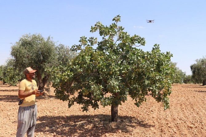 Antep fıstığı nöbetinde droneli dönem başladı
