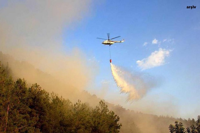 Çanakkale’de orman yangını