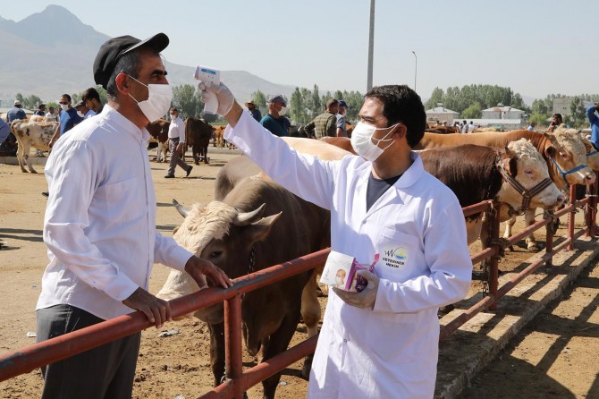 Van’da kurbanlık denetimi